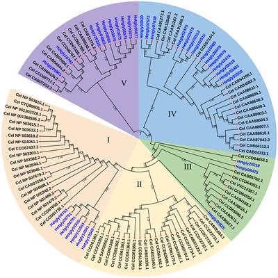 Identification of cytochrome P450 gene family and functional analysis of HgCYP33E1 from Heterodera glycines